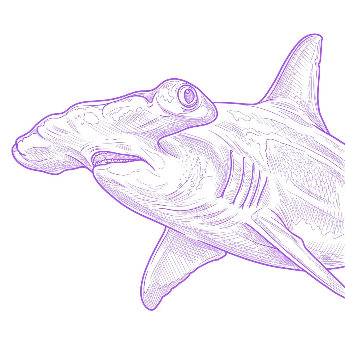 Hammerhead Shark Stencil