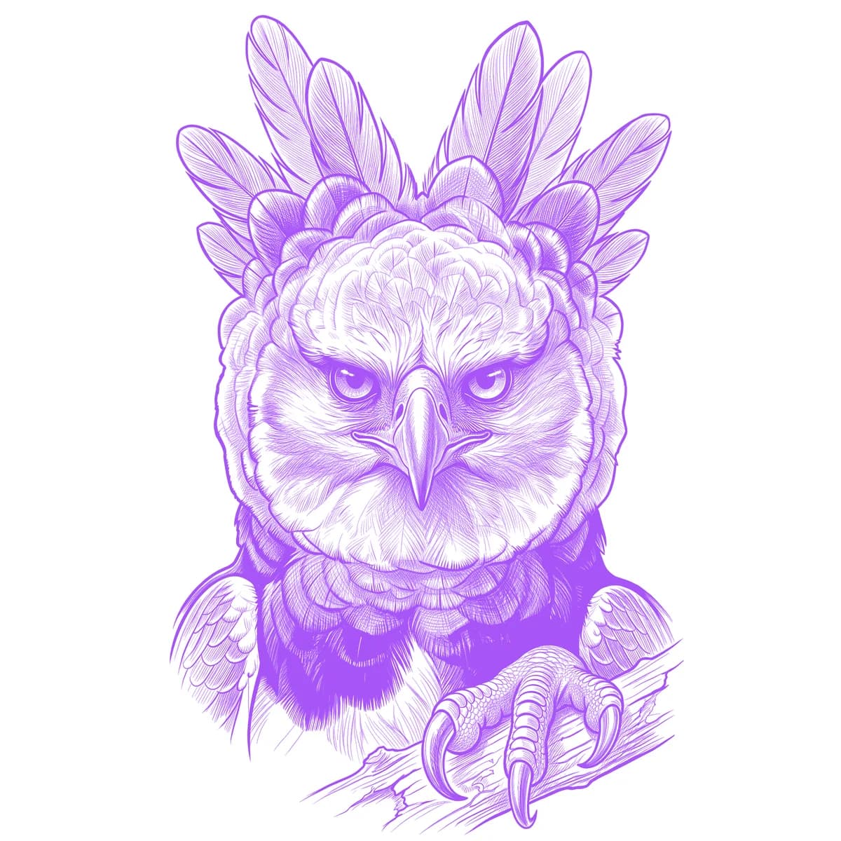Harpy Eagle Tattoo Stencil