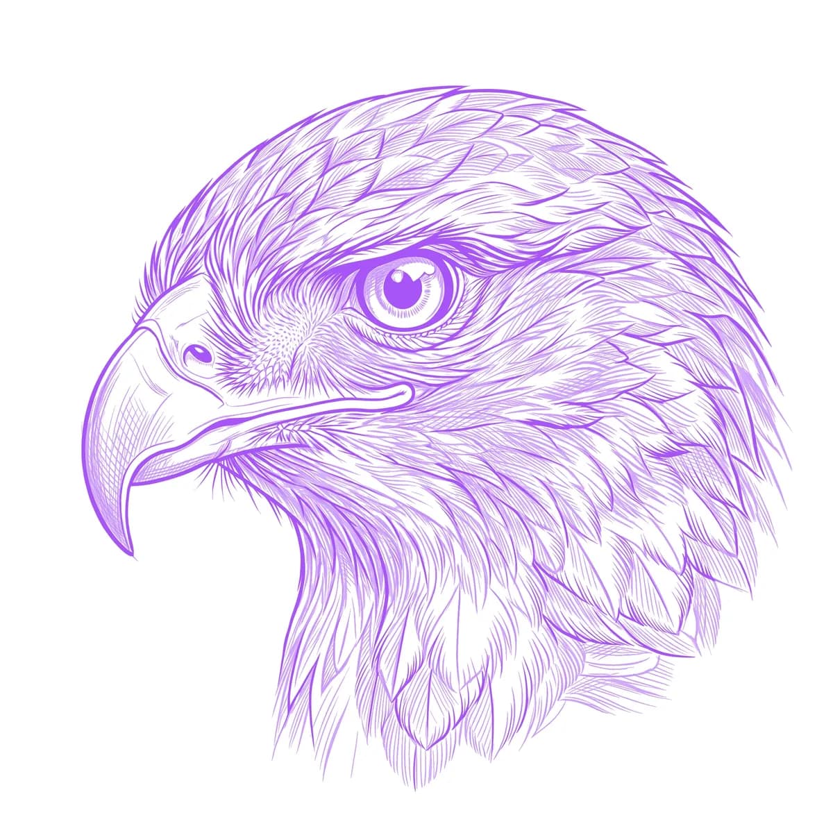 Hawk Stencil