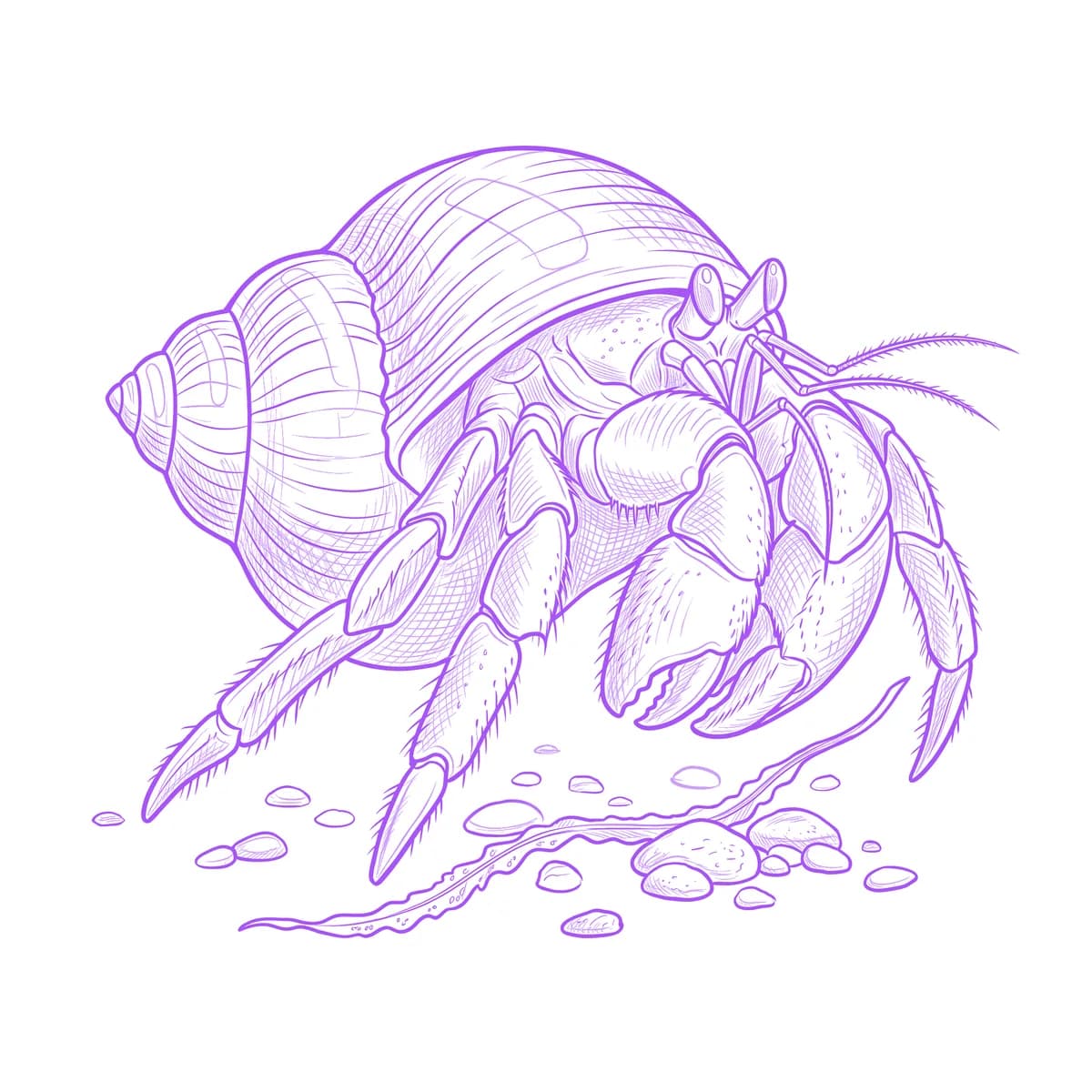 Hermit Crab Tattoo Stencil