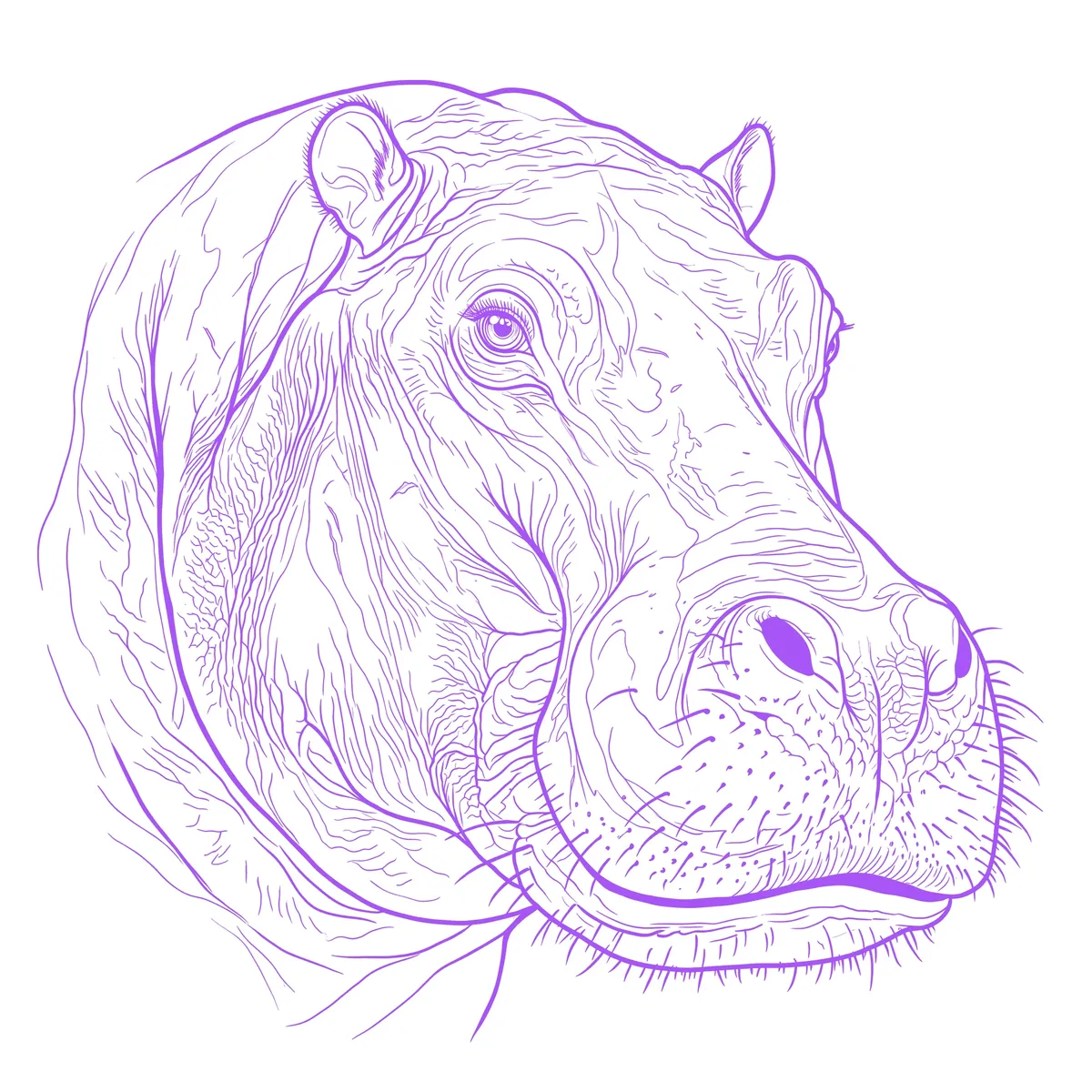 Hippopotame Pochoir