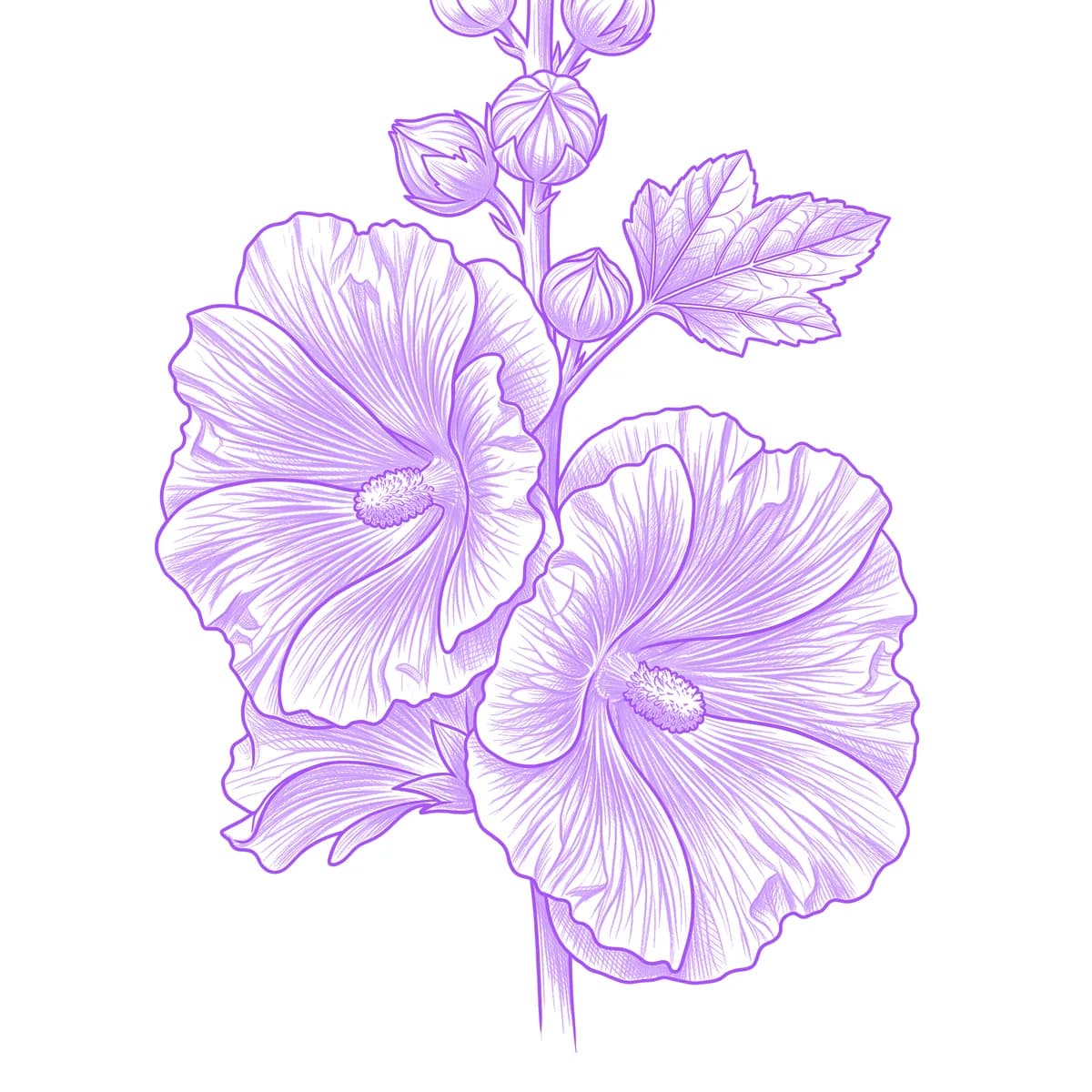 Hollyhock Tattoo Stencil