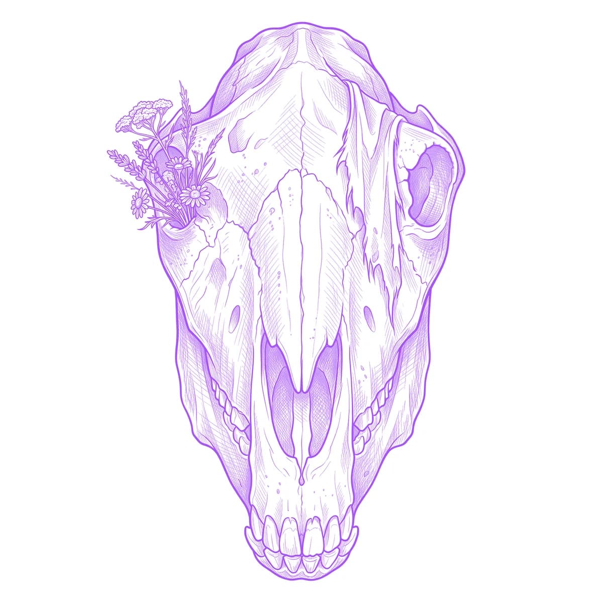 Horse Skull Tattoo Stencil