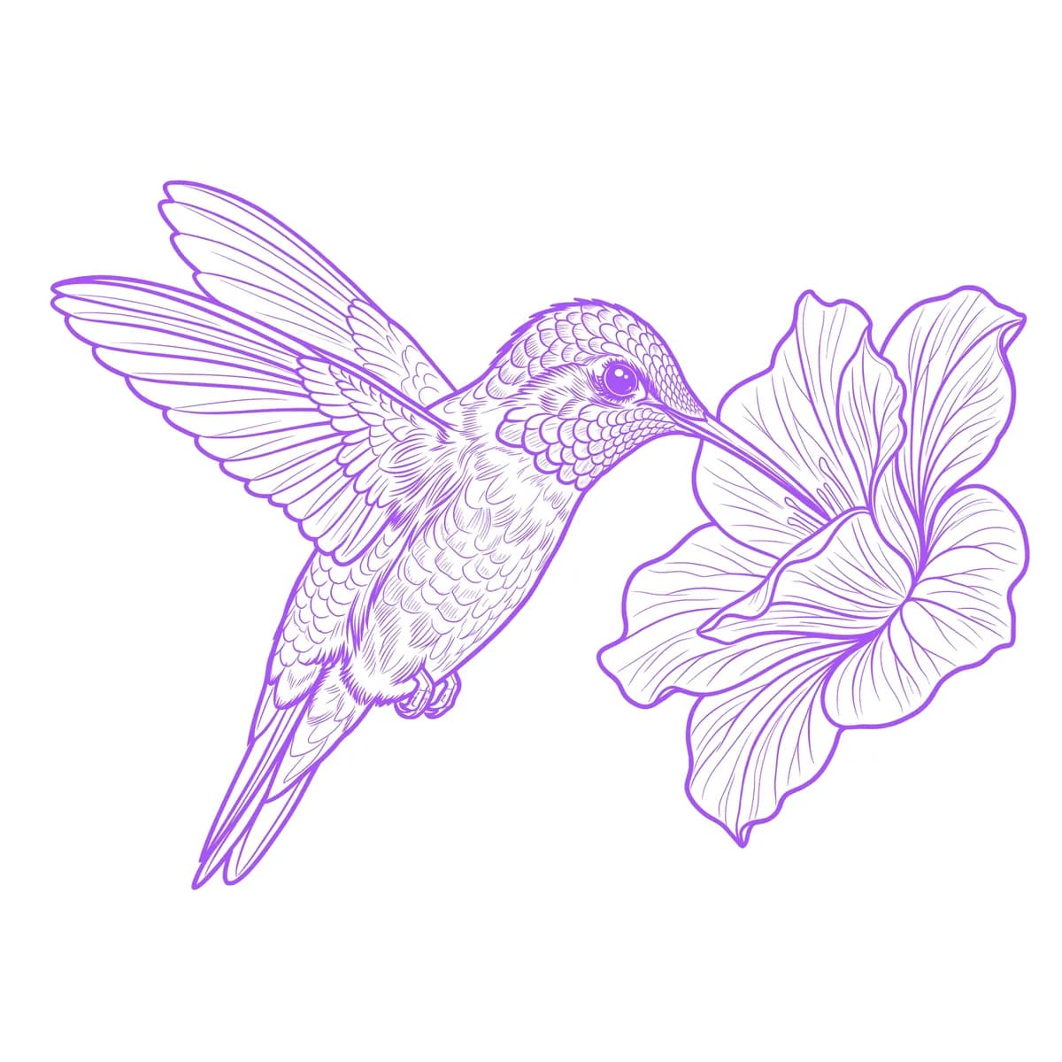 Beija-flor Estêncil