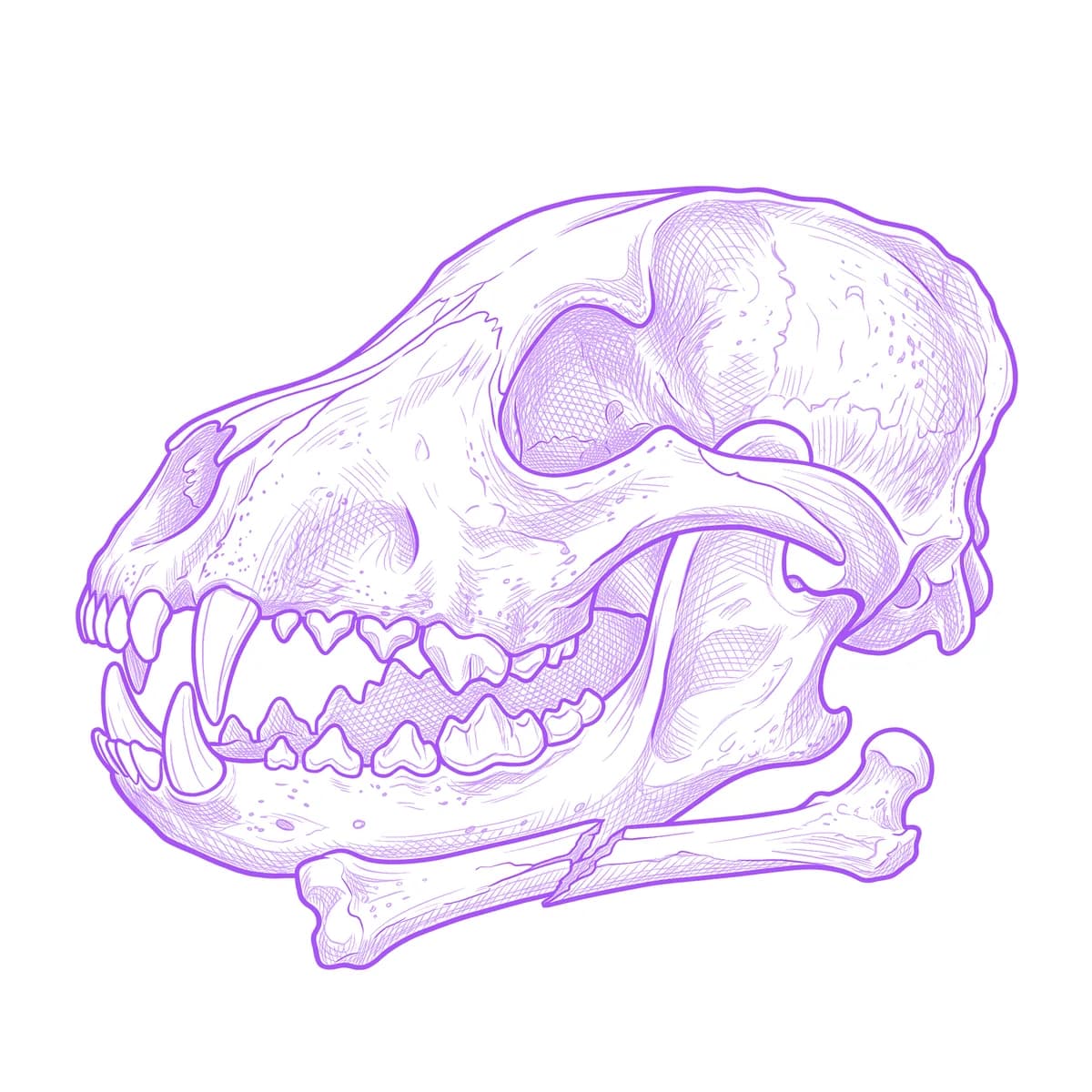 Hyena Skull Tattoo Stencil