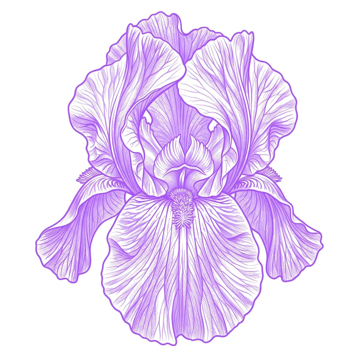 Iris Stencil