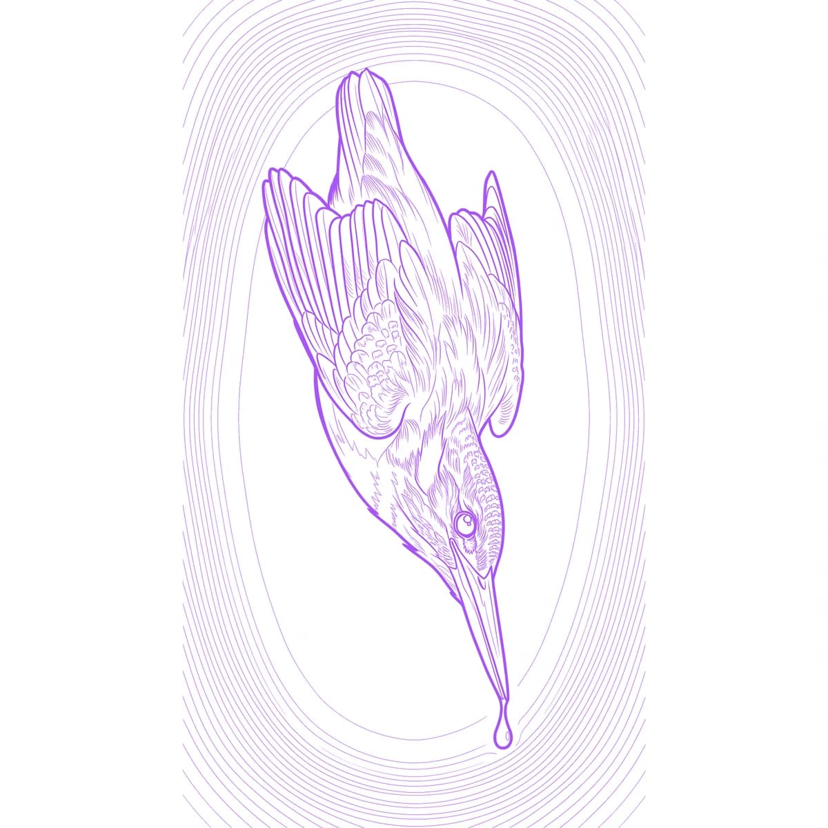 Kingfisher Stencil