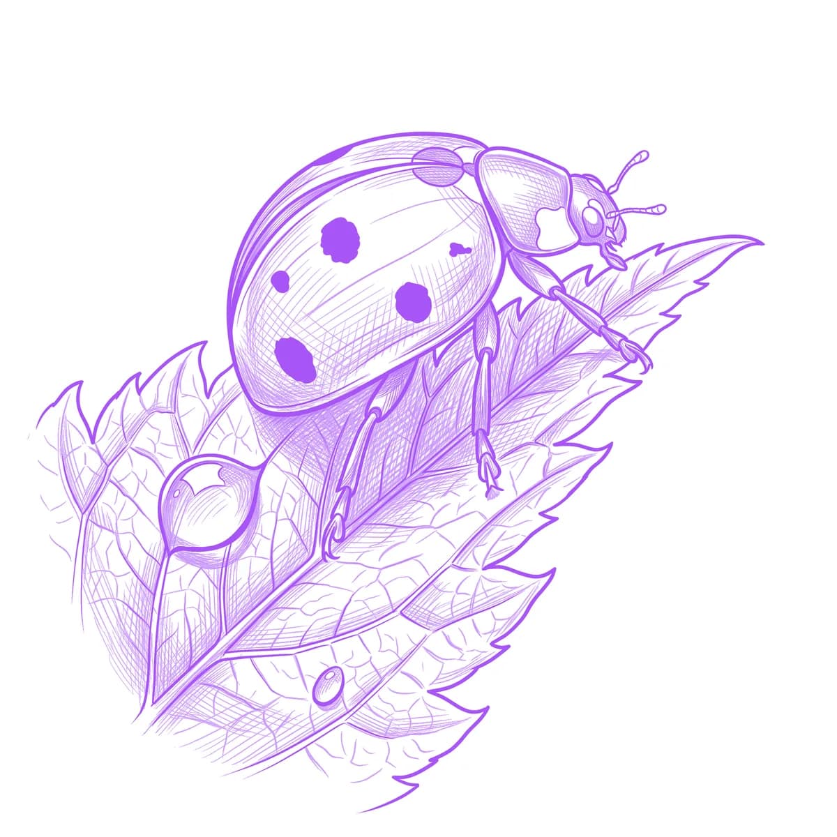 Ladybug Tattoo Stencil
