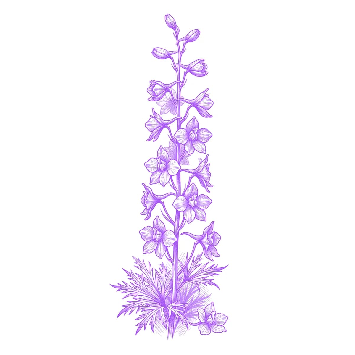Larkspur Tattoo Stencil
