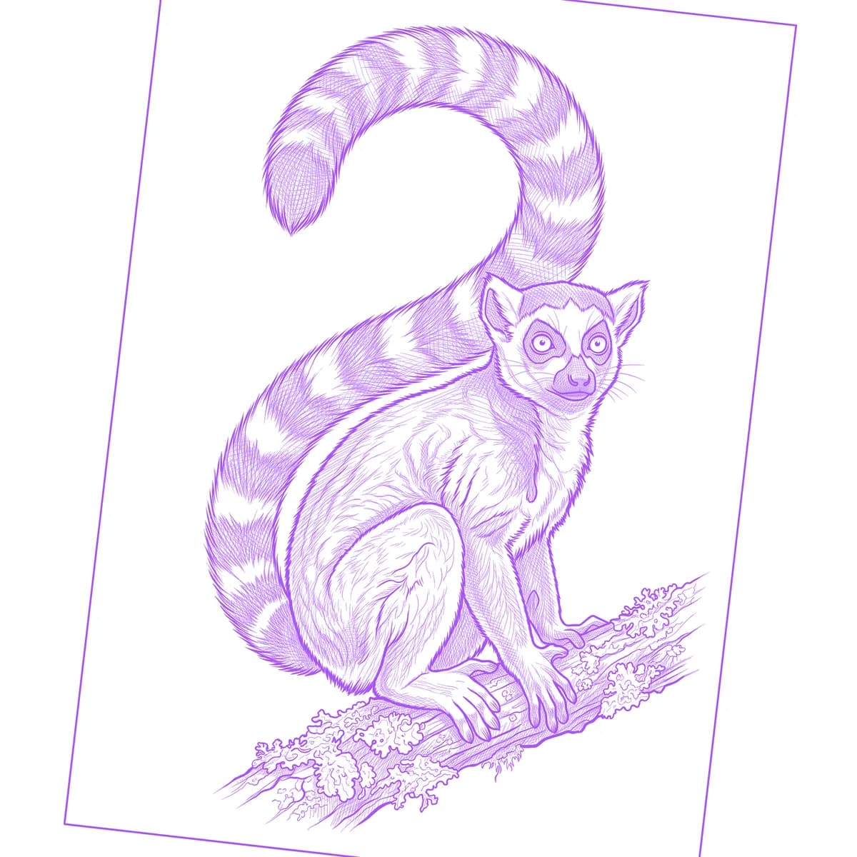 Lemur Tattoo Stencil