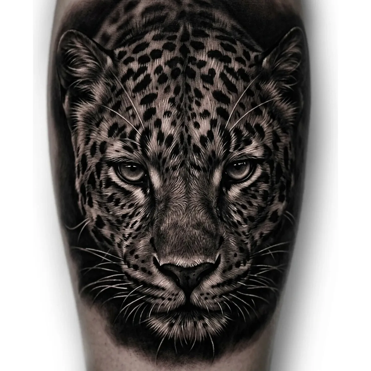 Leopard Reference