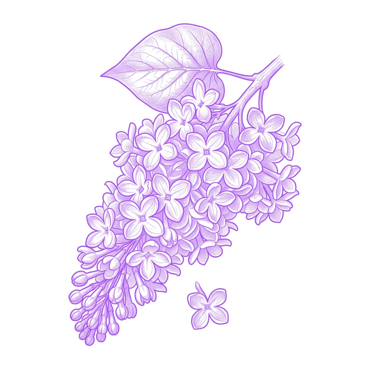 Lilac Tattoo Stencil