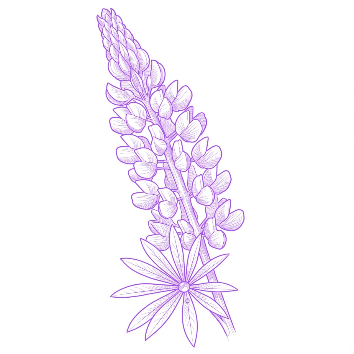 Lupine Tattoo Stencil