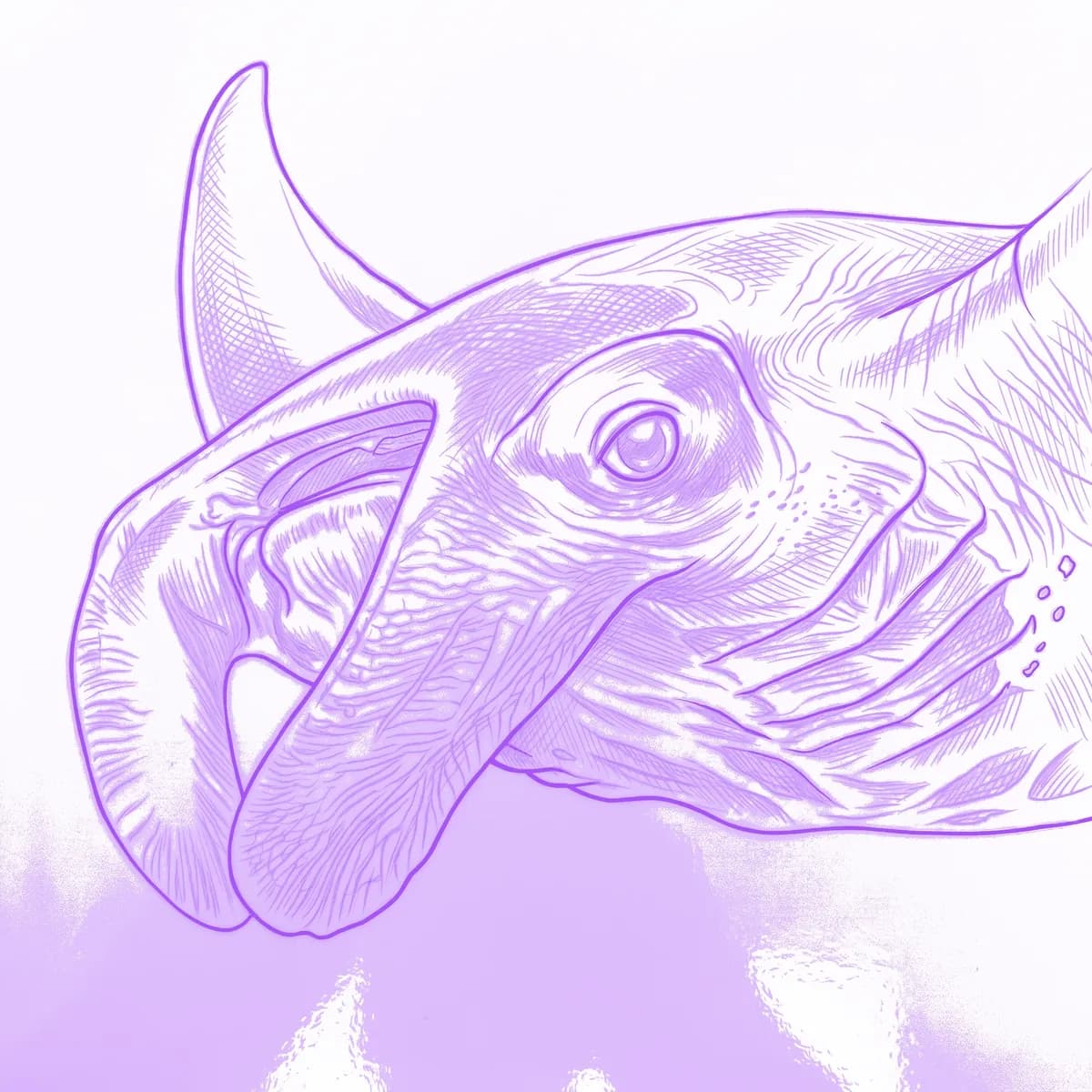 Mantarochen Schablone