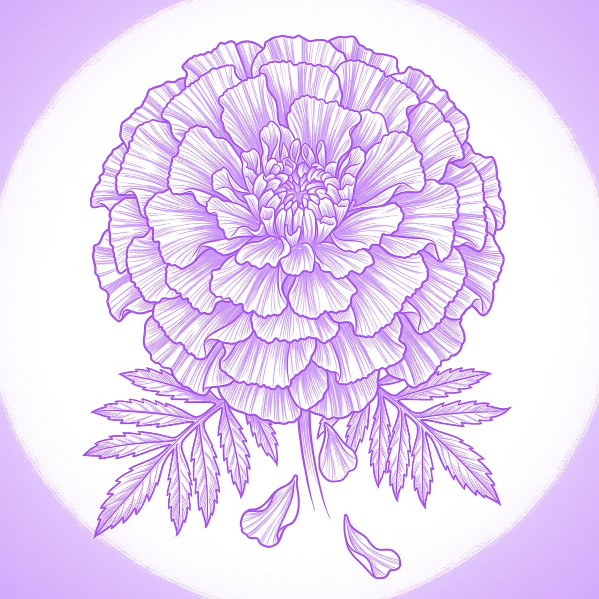Marigold Tattoo Stencil
