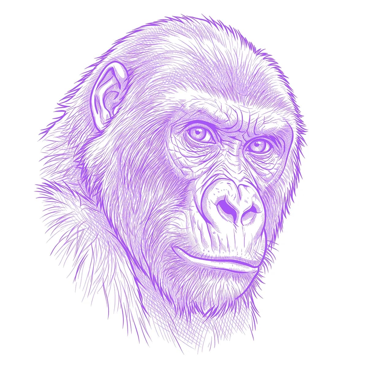Affe Schablone