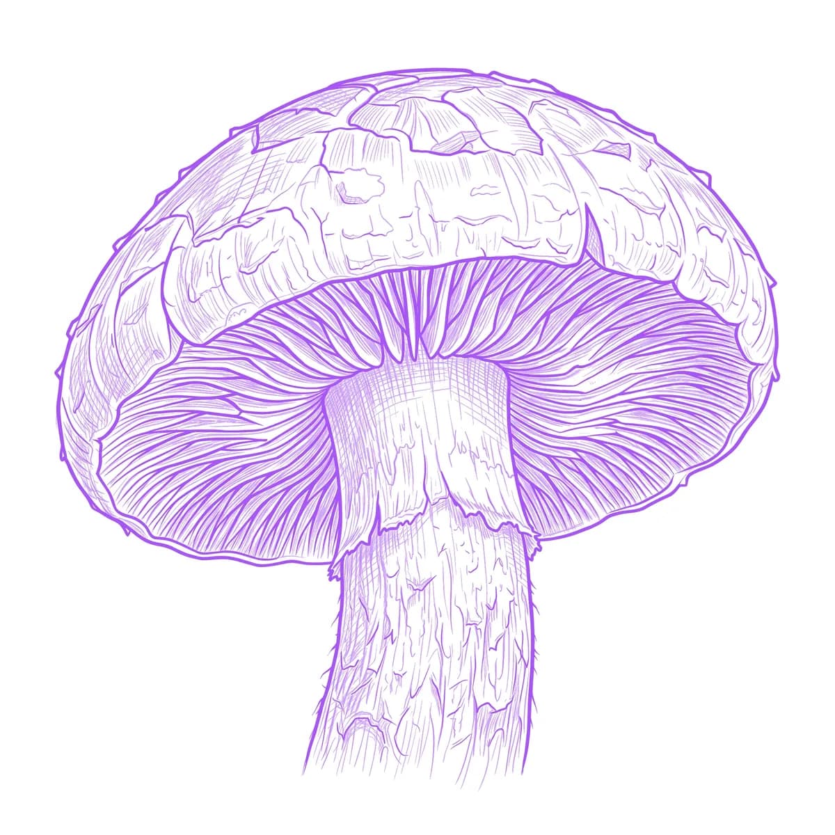 Mushroom Stencil