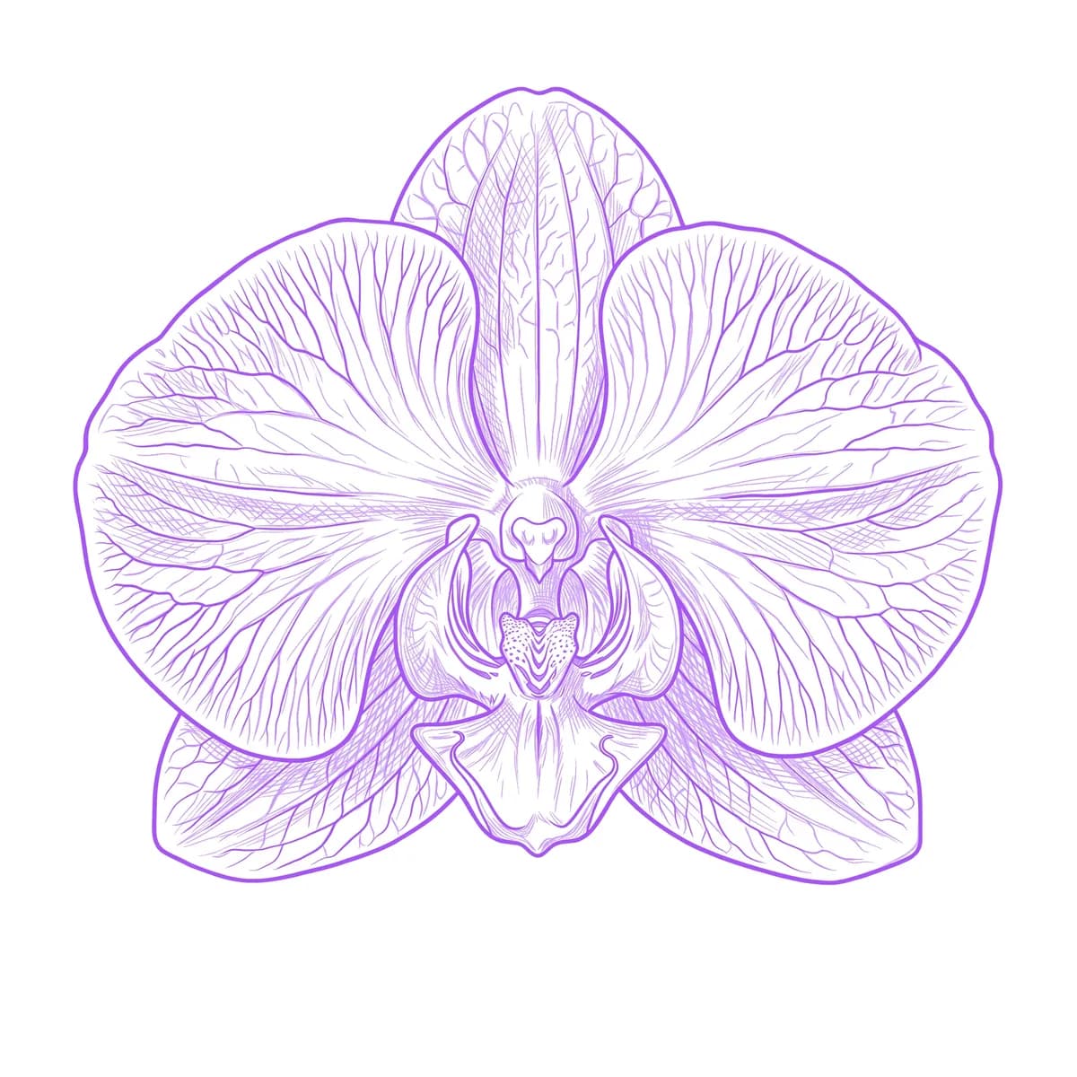 Orchidee Schablone