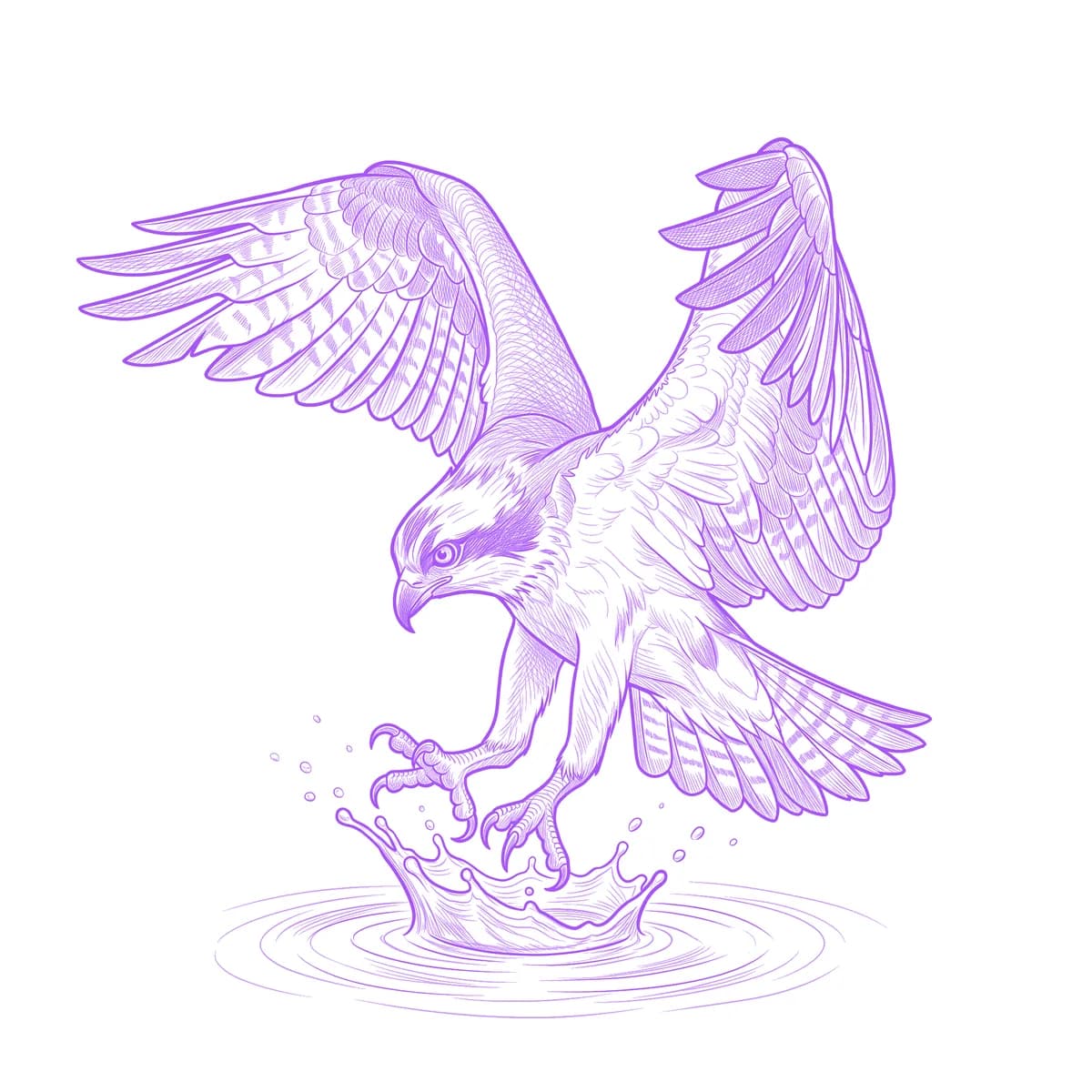 Osprey Tattoo Stencil