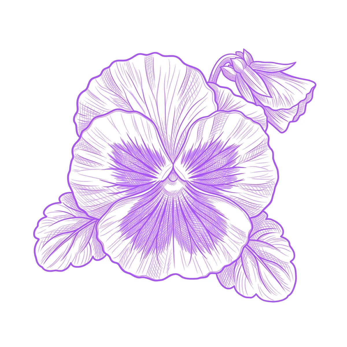 Pansy Tattoo Stencil