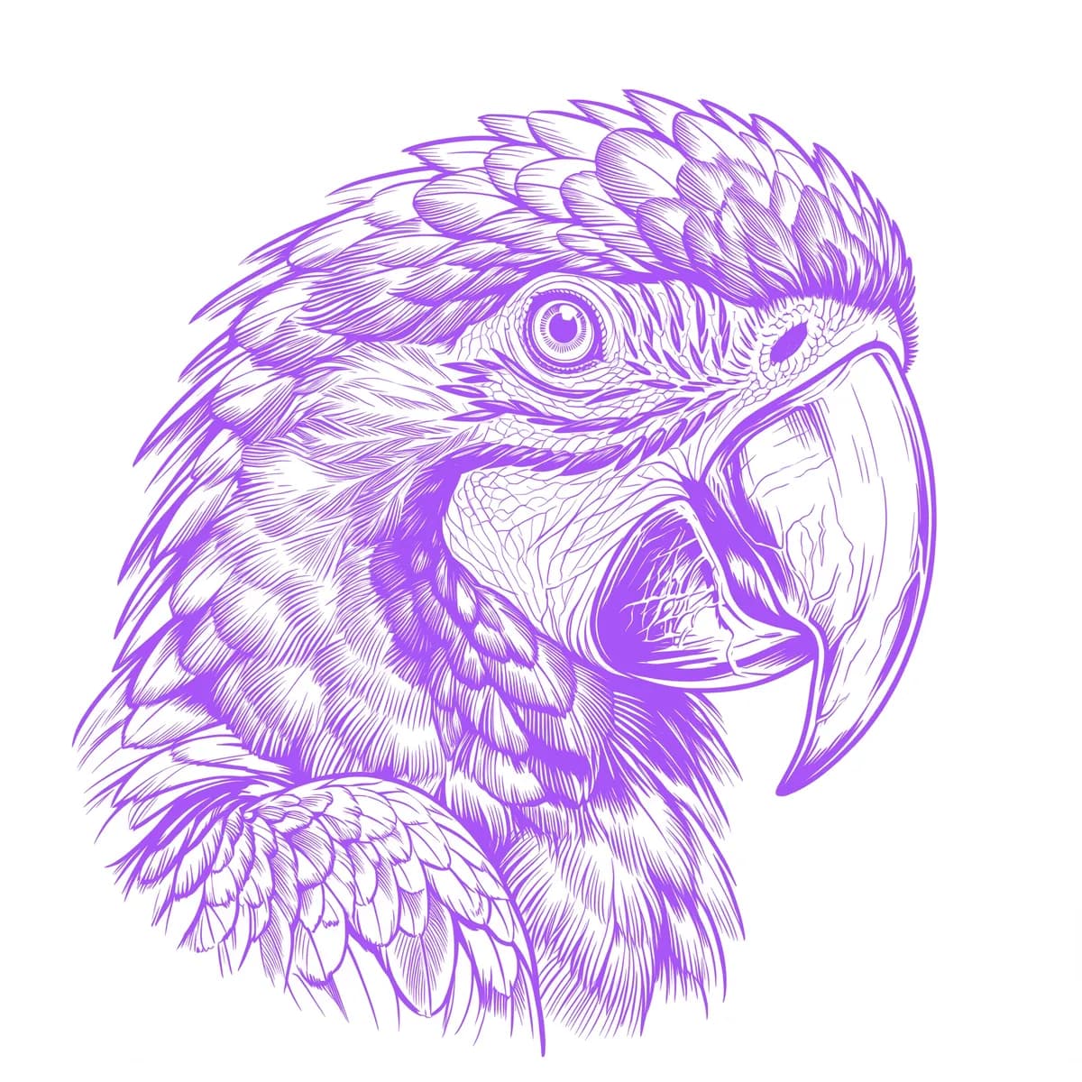 Parrot Stencil