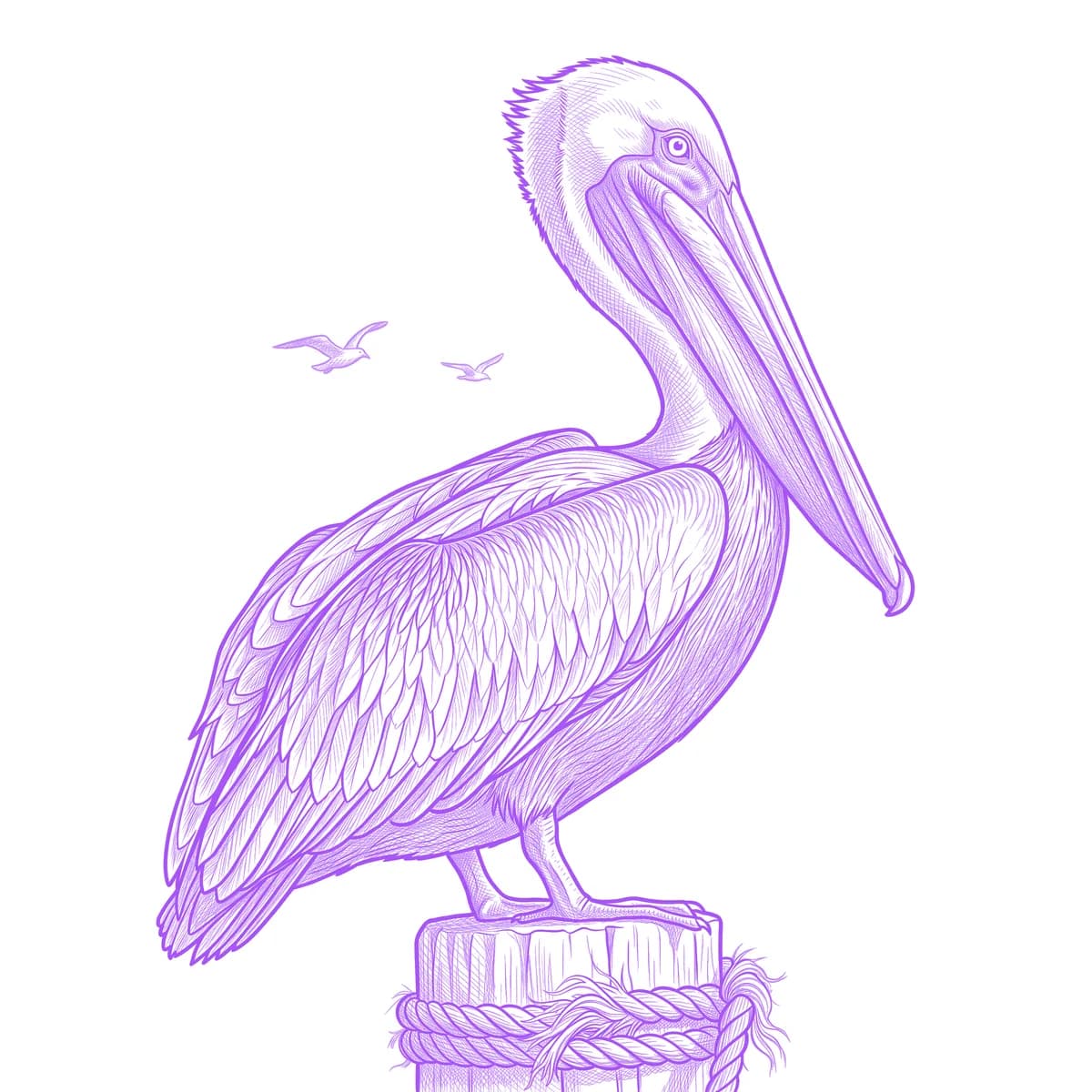 Pelican Tattoo Stencil