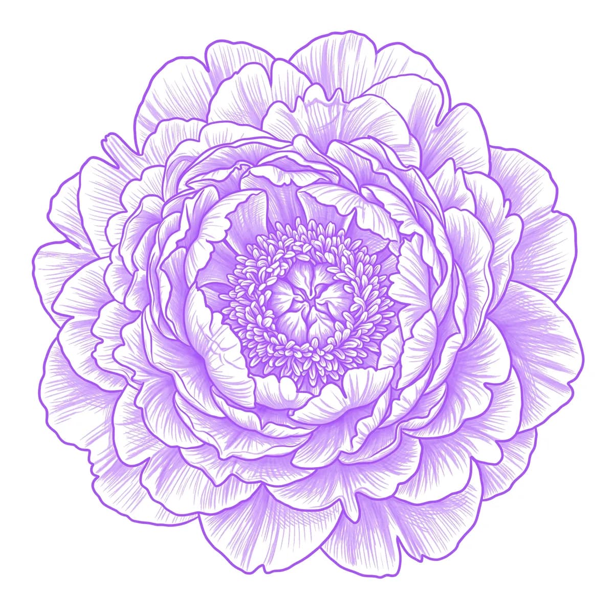 Peony Stencil
