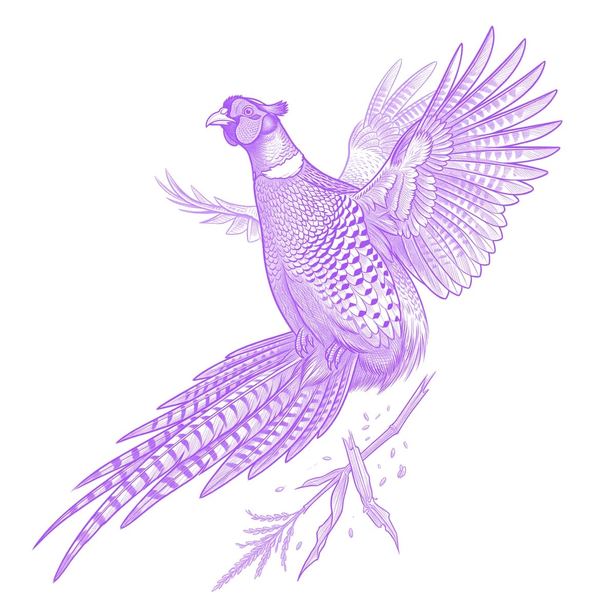 Pheasant Tattoo Stencil