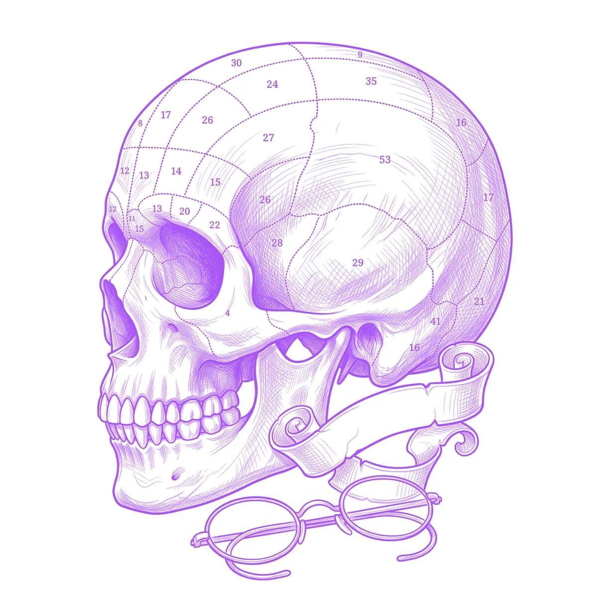Phrenology Skull Tattoo Stencil