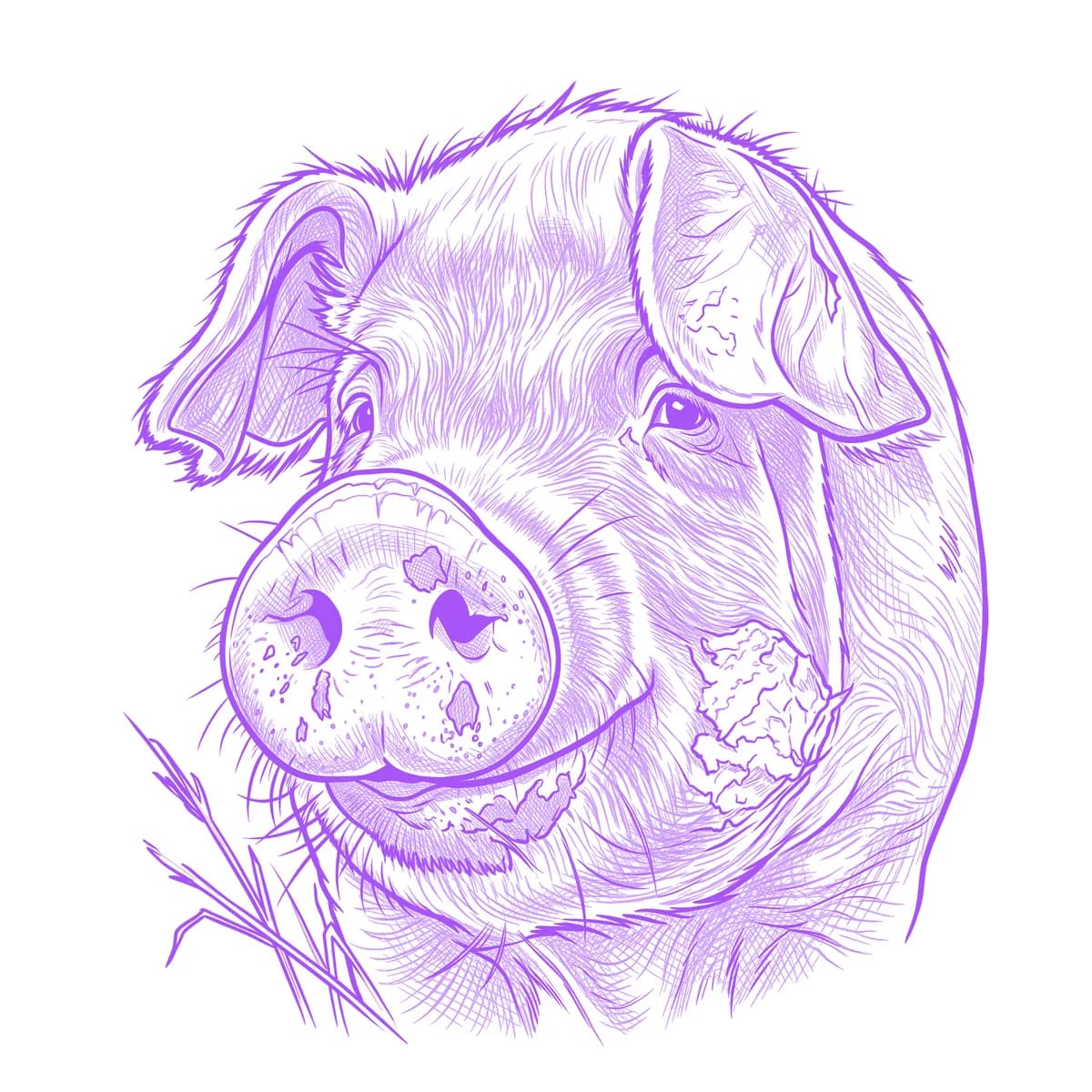 Pig Tattoo Stencil