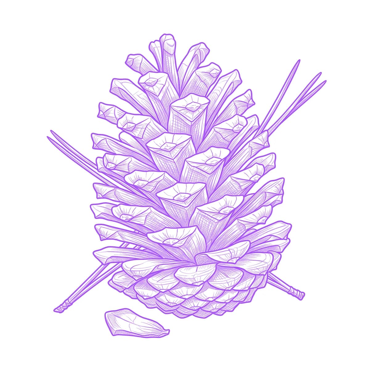 Pinecone Tattoo Stencil