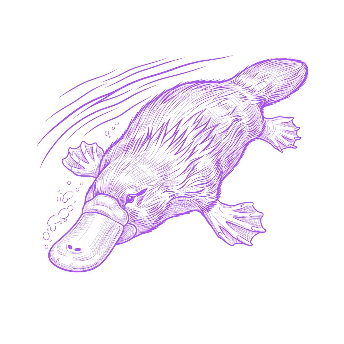 Platypus Tattoo Stencil