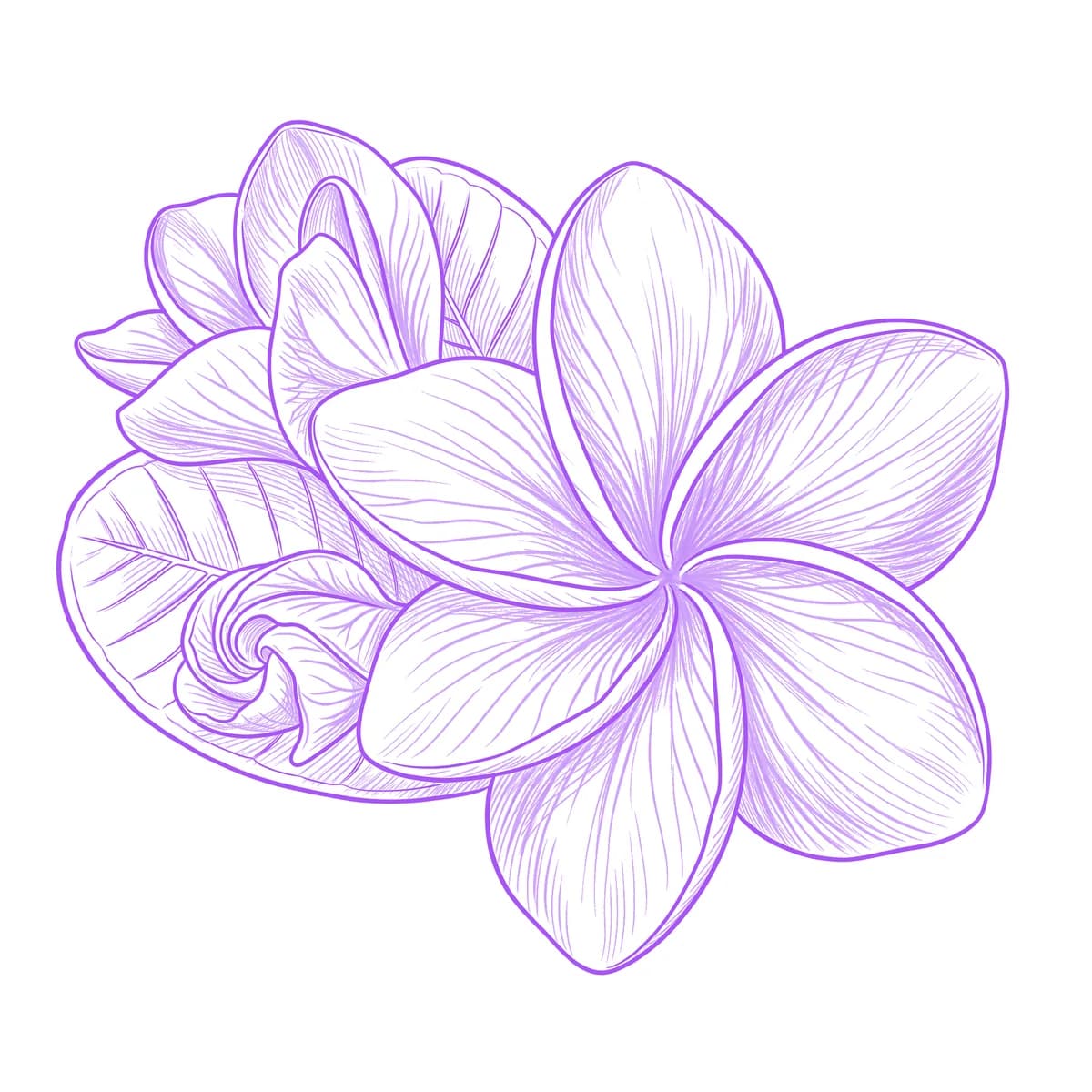 Plumeria Tattoo Stencil