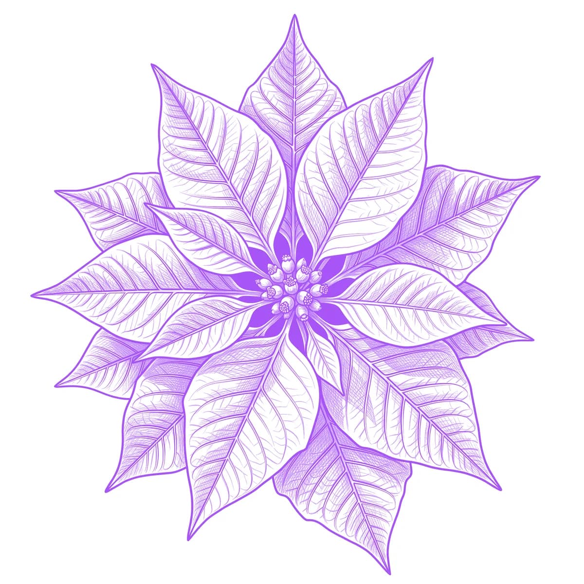 Poinsettia Tattoo Stencil