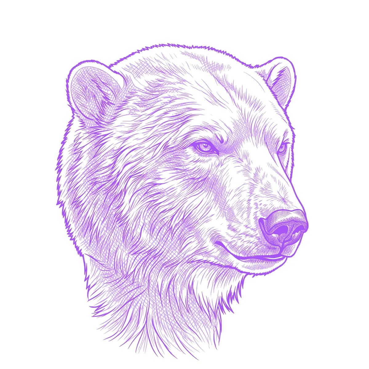 Orso Polare Stencil