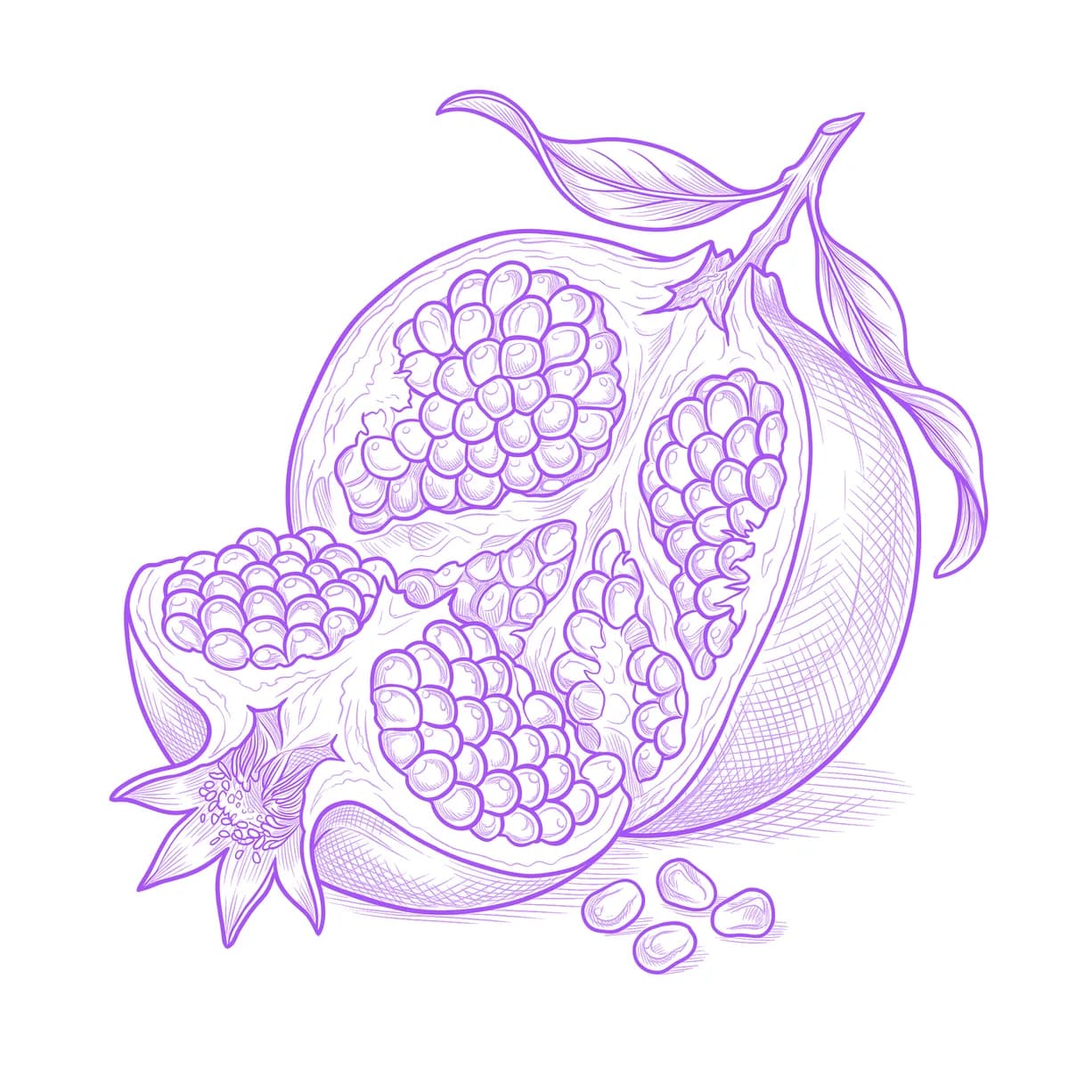 Pomegranate Tattoo Stencil