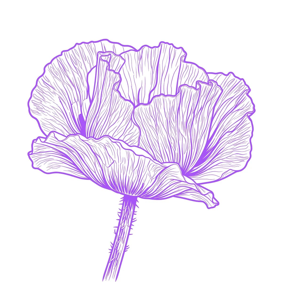 Poppy Stencil