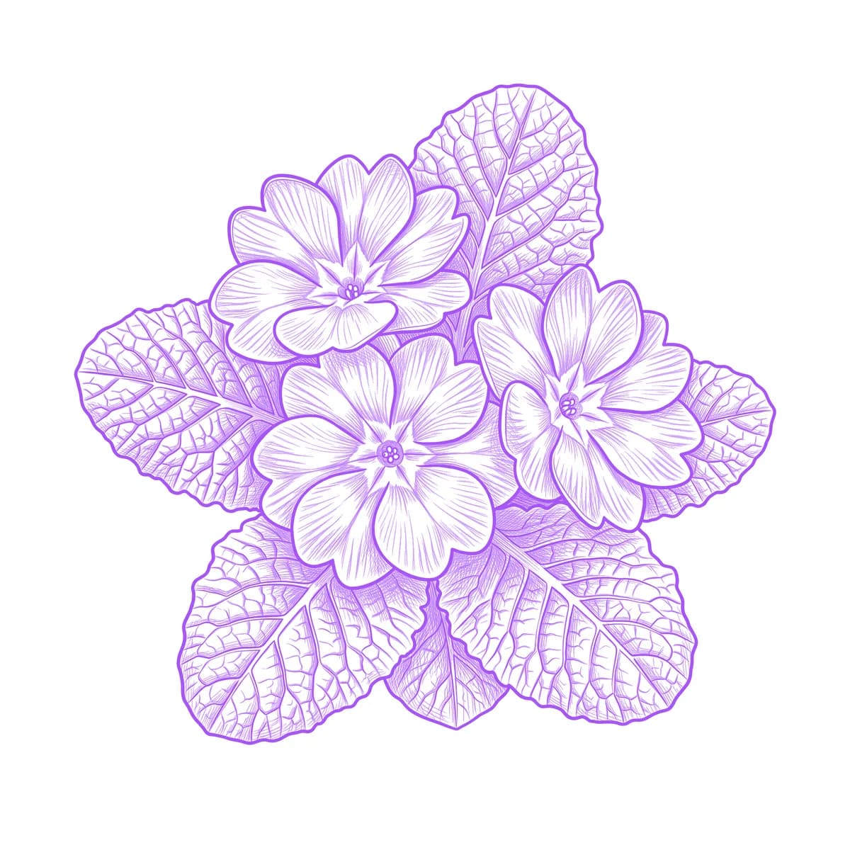 Primrose Tattoo Stencil