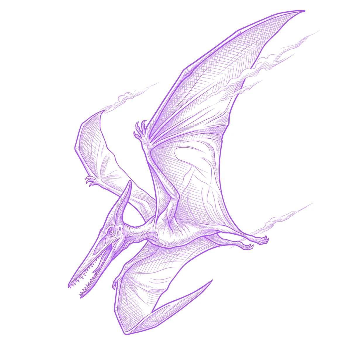 Pterodactyl Tattoo Stencil
