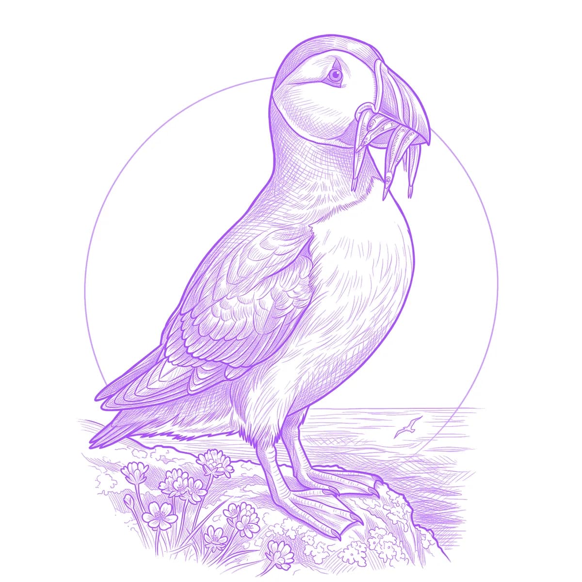 Puffin Tattoo Stencil