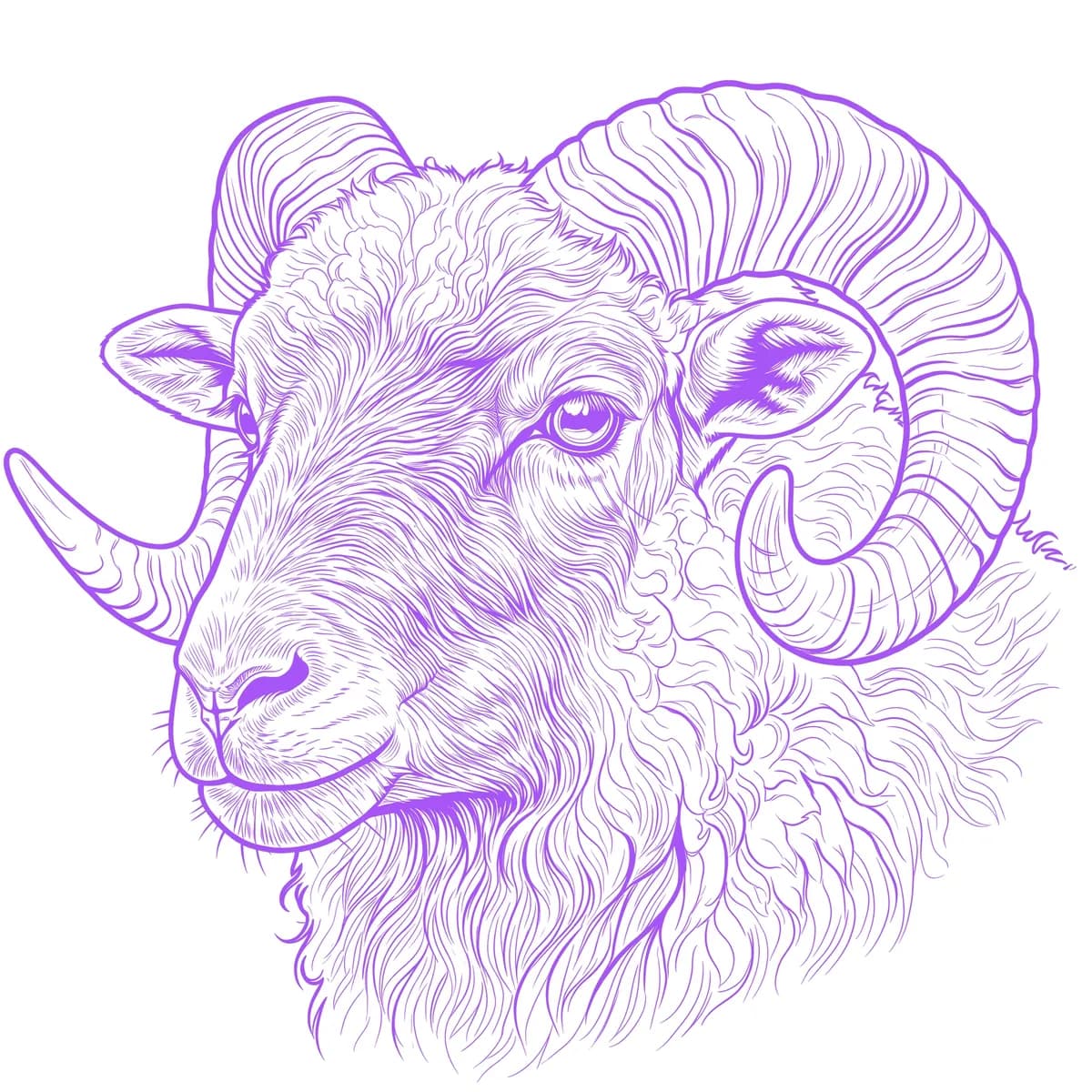 Ram Stencil