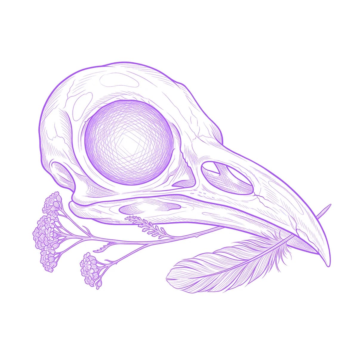 Raven Skull Tattoo Stencil