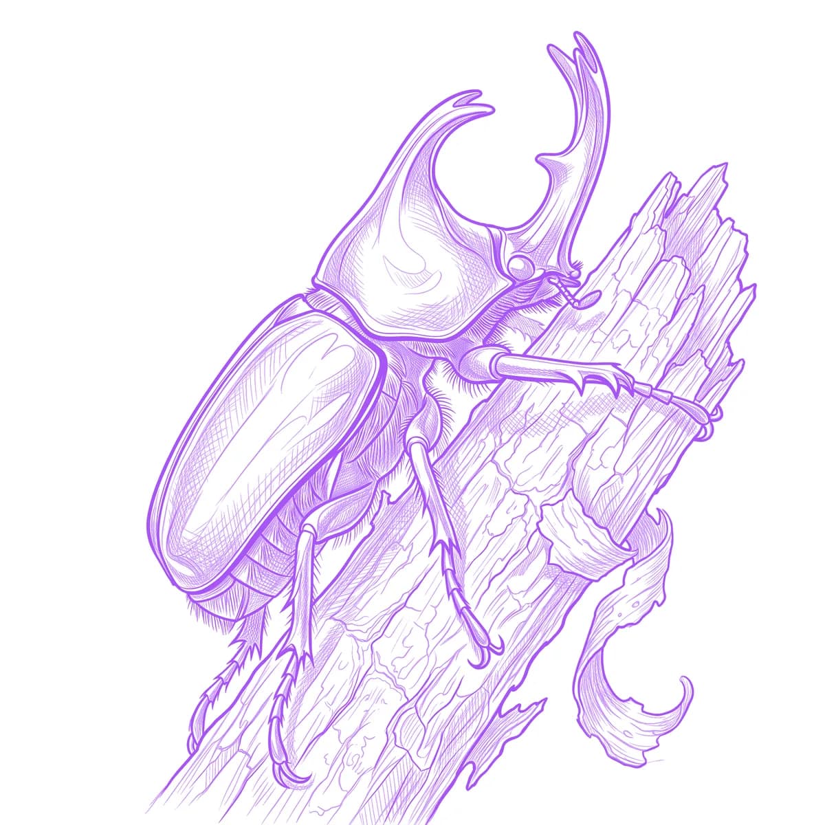 Rhinoceros Beetle Tattoo Stencil