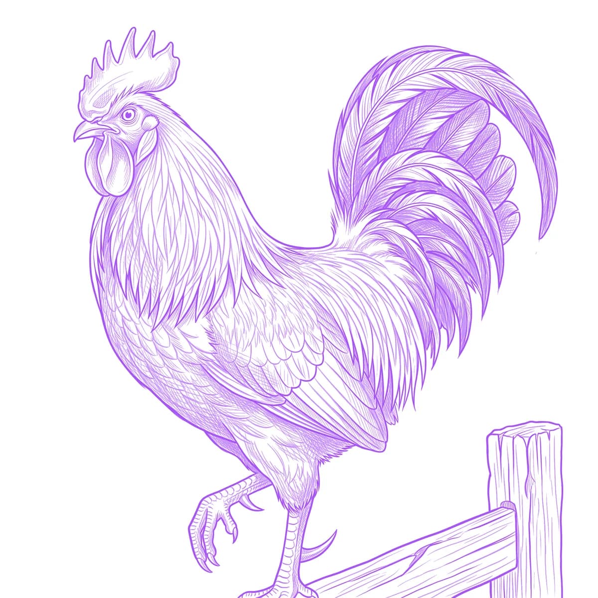 Rooster Tattoo Stencil