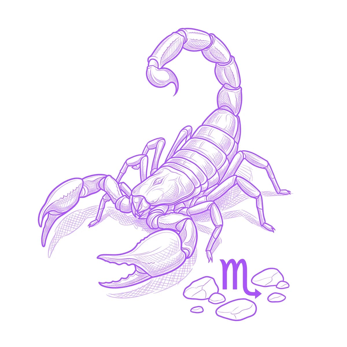 Scorpio Tattoo Stencil