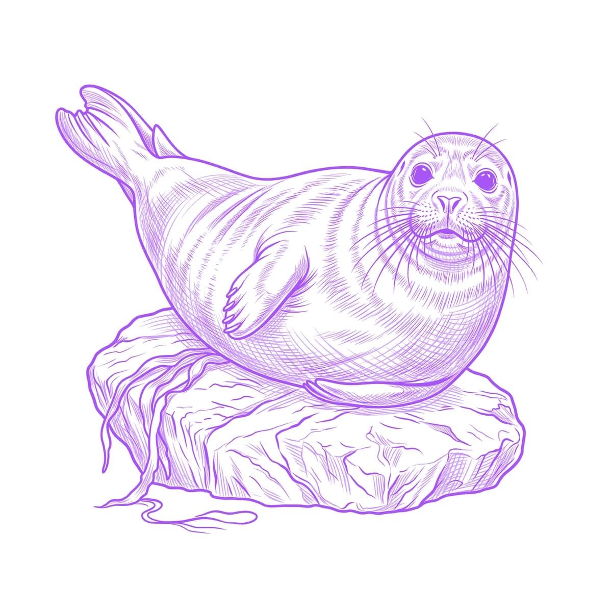 Seal Tattoo Stencil