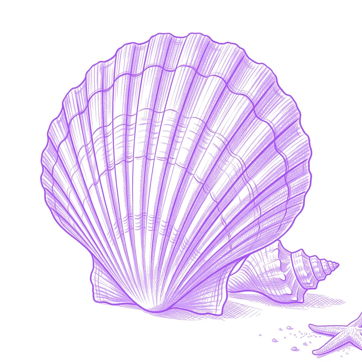Seashell Tattoo Stencil