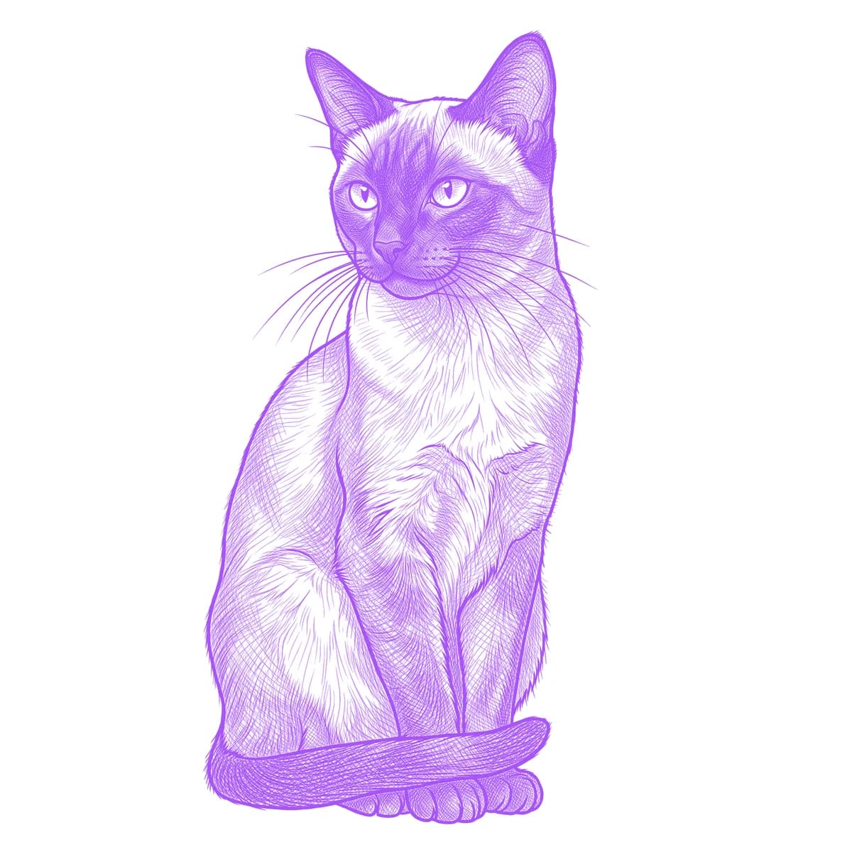 Siamese Cat Tattoo Stencil