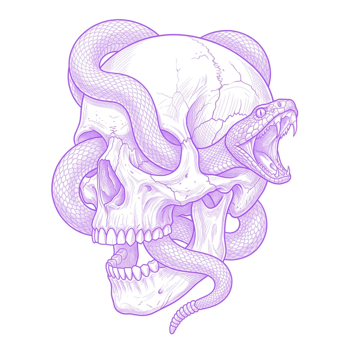 Skull and Snake Tattoo Stencil