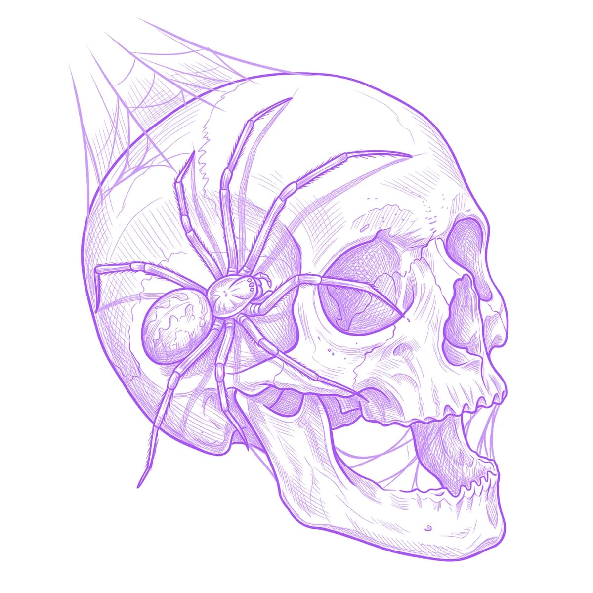 Skull and Spider Tattoo Stencil